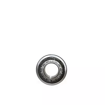 Rodamiento reforzado Rodamiento de rodillos cilíndricos IEC160 a IEC315