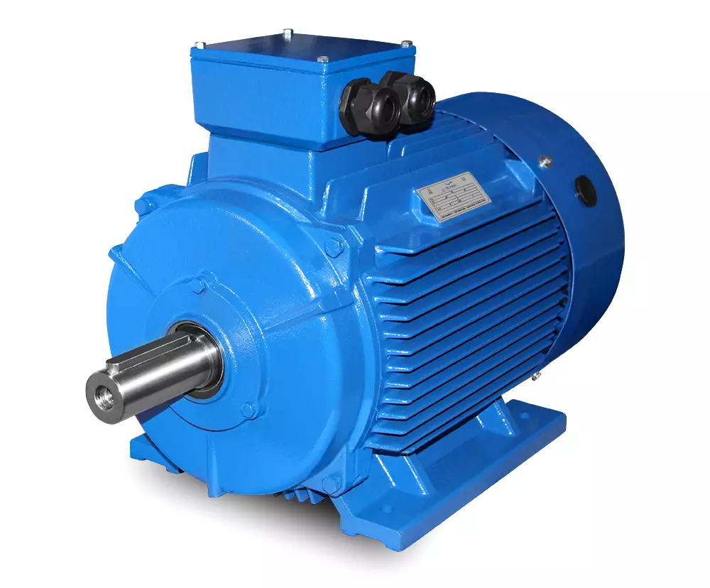 Motor eléctrico-M3 250M-55 kW-2pol-B3