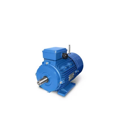 Motores electricos con freno 0,12kW - 7,5kW